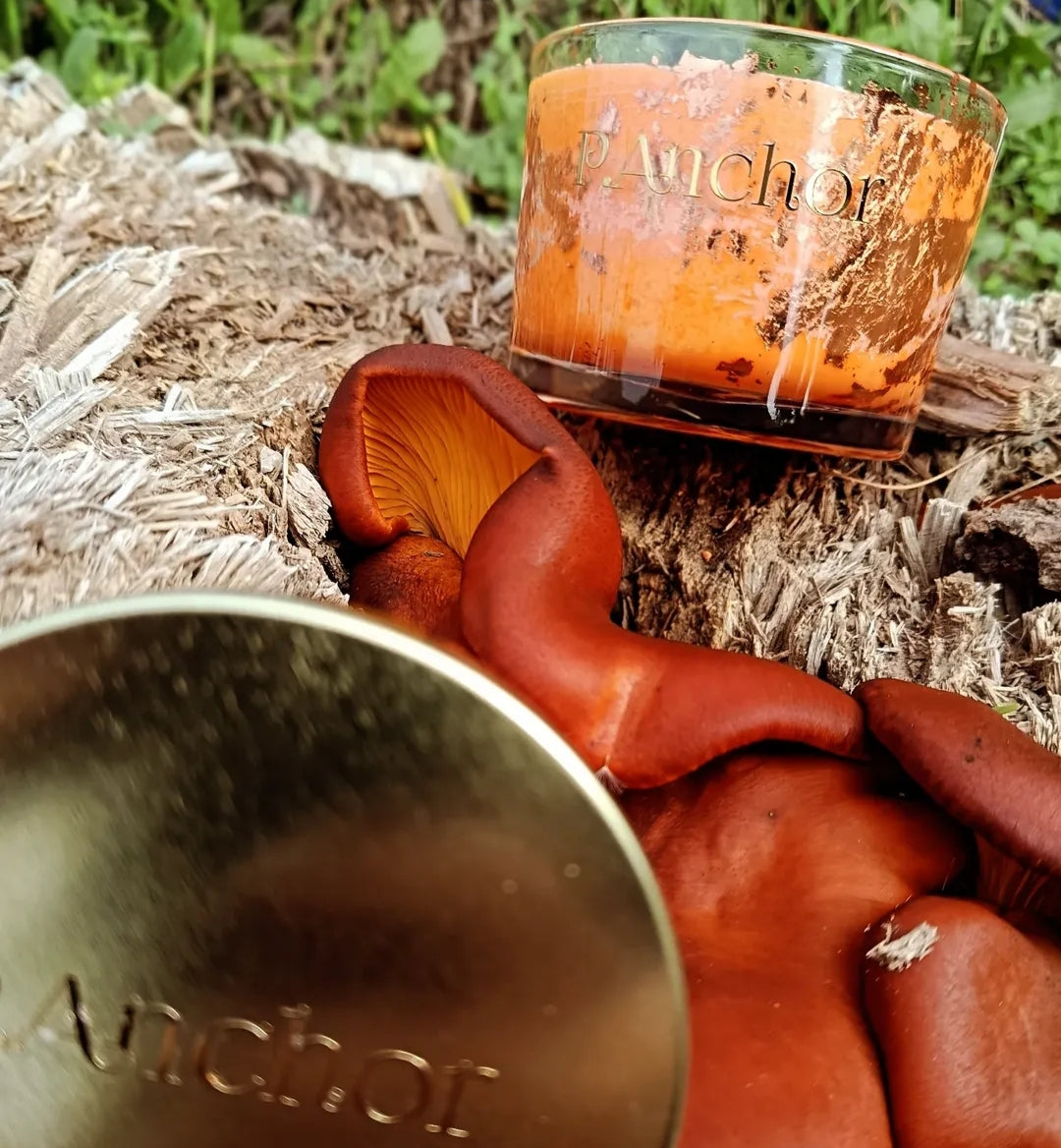 An orange wax candle in a clear glass jar with the brand name 'Anchor' visible, placed outdoors on a log with large reddish-brown mushrooms in the foreground and a reflective metallic lid partially visible in the lower left.